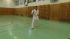 SAM_0633~0.JPG